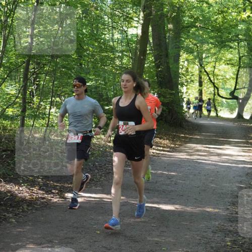 22.09.2024 - 32. Volkslauf durch das schöne Alstertal Miley Keyser http://msf.ph/oto/7136424 22.09.2024 10:39:55 Laufen 2541 meine-sportfotos.de