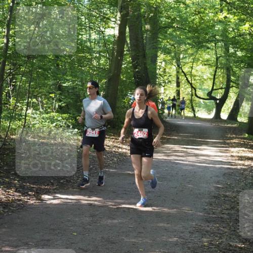 22.09.2024 - 32. Volkslauf durch das schöne Alstertal Miley Keyser http://msf.ph/oto/7136425 22.09.2024 10:39:54 Laufen 2541, 2402 meine-sportfotos.de