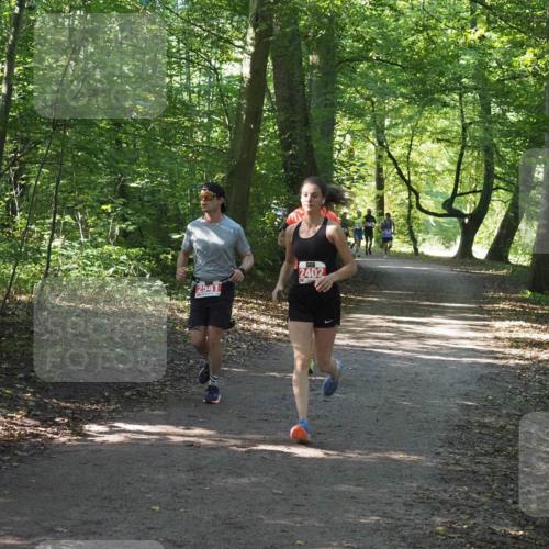 22.09.2024 - 32. Volkslauf durch das schöne Alstertal Miley Keyser http://msf.ph/oto/7136427 22.09.2024 10:39:54 Laufen 2541, 2402 meine-sportfotos.de