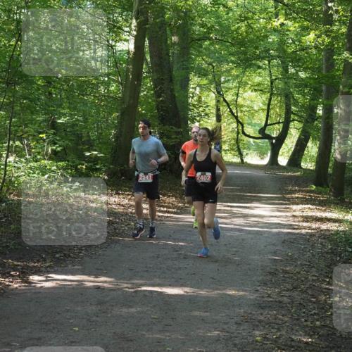 22.09.2024 - 32. Volkslauf durch das schöne Alstertal Miley Keyser http://msf.ph/oto/7136428 22.09.2024 10:39:54 Laufen 2541, 2402 meine-sportfotos.de