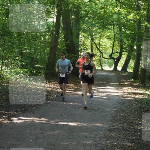 22.09.2024 - 32. Volkslauf durch das schöne Alstertal Miley Keyser http://msf.ph/oto/7136429 22.09.2024 10:39:53 Laufen 2541, 2402 meine-sportfotos.de