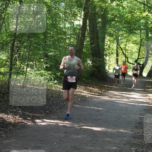 22.09.2024 - 32. Volkslauf durch das schöne Alstertal Miley Keyser http://msf.ph/oto/7136432 22.09.2024 10:39:50 Laufen 2970 meine-sportfotos.de