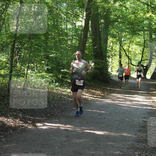 22.09.2024 - 32. Volkslauf durch das schöne Alstertal Miley Keyser http://msf.ph/oto/7136436 22.09.2024 10:39:49 Laufen 2970 meine-sportfotos.de