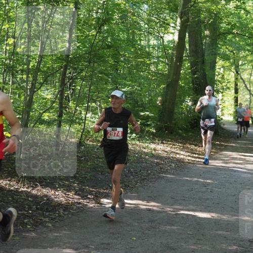 22.09.2024 - 32. Volkslauf durch das schöne Alstertal Miley Keyser http://msf.ph/oto/7136438 22.09.2024 10:39:48 Laufen 566, 2974, 2970 meine-sportfotos.de