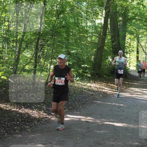 22.09.2024 - 32. Volkslauf durch das schöne Alstertal Miley Keyser http://msf.ph/oto/7136439 22.09.2024 10:39:48 Laufen 2974, 2970 meine-sportfotos.de