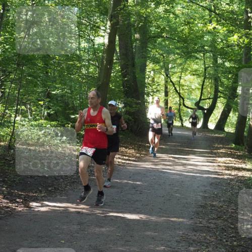 22.09.2024 - 32. Volkslauf durch das schöne Alstertal Miley Keyser http://msf.ph/oto/7136442 22.09.2024 10:39:47 Laufen 7970 meine-sportfotos.de