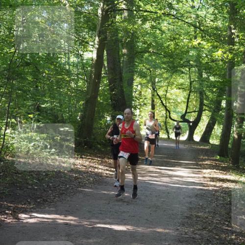 22.09.2024 - 32. Volkslauf durch das schöne Alstertal Miley Keyser http://msf.ph/oto/7136443 22.09.2024 10:39:46 Laufen 2566 meine-sportfotos.de