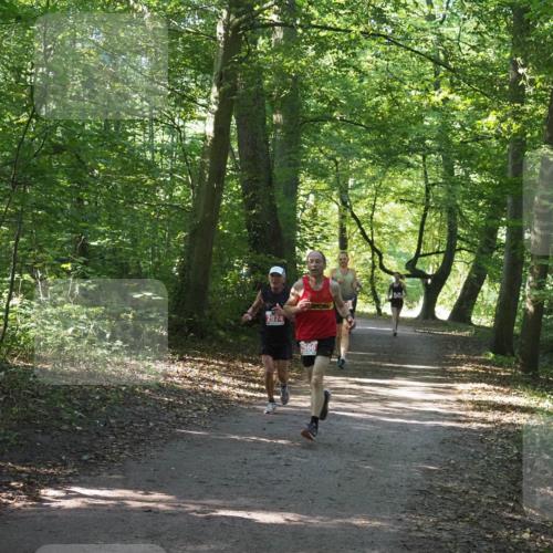 22.09.2024 - 32. Volkslauf durch das schöne Alstertal Miley Keyser http://msf.ph/oto/7136446 22.09.2024 10:39:46 Laufen 2974, 2566 meine-sportfotos.de