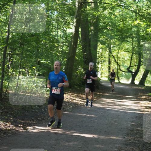 22.09.2024 - 32. Volkslauf durch das schöne Alstertal Miley Keyser http://msf.ph/oto/7136465 22.09.2024 10:39:32 Laufen  meine-sportfotos.de