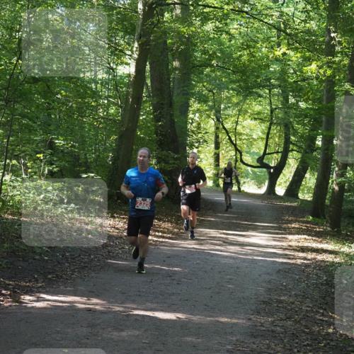 22.09.2024 - 32. Volkslauf durch das schöne Alstertal Miley Keyser http://msf.ph/oto/7136466 22.09.2024 10:39:31 Laufen 2325 meine-sportfotos.de