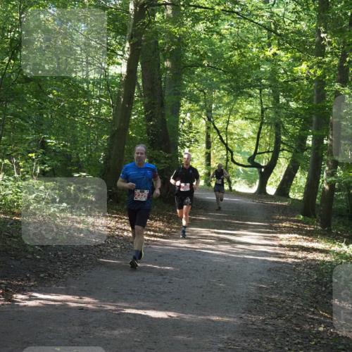 22.09.2024 - 32. Volkslauf durch das schöne Alstertal Miley Keyser http://msf.ph/oto/7136469 22.09.2024 10:39:31 Laufen  meine-sportfotos.de