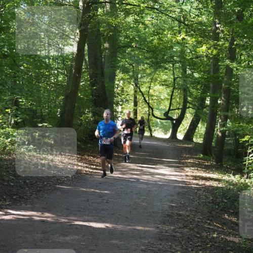 22.09.2024 - 32. Volkslauf durch das schöne Alstertal Miley Keyser http://msf.ph/oto/7136472 22.09.2024 10:39:30 Laufen  meine-sportfotos.de