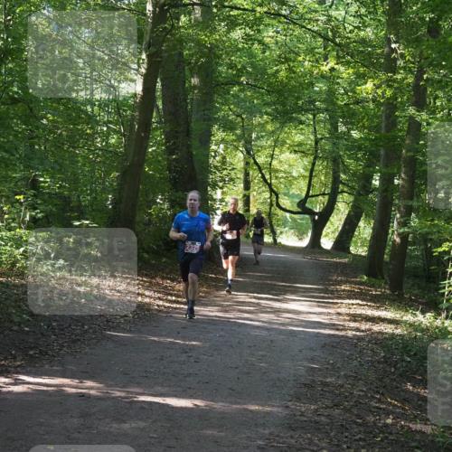 22.09.2024 - 32. Volkslauf durch das schöne Alstertal Miley Keyser http://msf.ph/oto/7136473 22.09.2024 10:39:30 Laufen 2325 meine-sportfotos.de