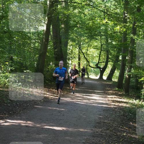 22.09.2024 - 32. Volkslauf durch das schöne Alstertal Miley Keyser http://msf.ph/oto/7136474 22.09.2024 10:39:30 Laufen  meine-sportfotos.de