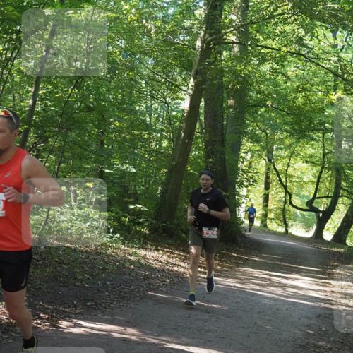 22.09.2024 - 32. Volkslauf durch das schöne Alstertal Miley Keyser http://msf.ph/oto/7136478 22.09.2024 10:39:20 Laufen 2489, 2500, 151 meine-sportfotos.de