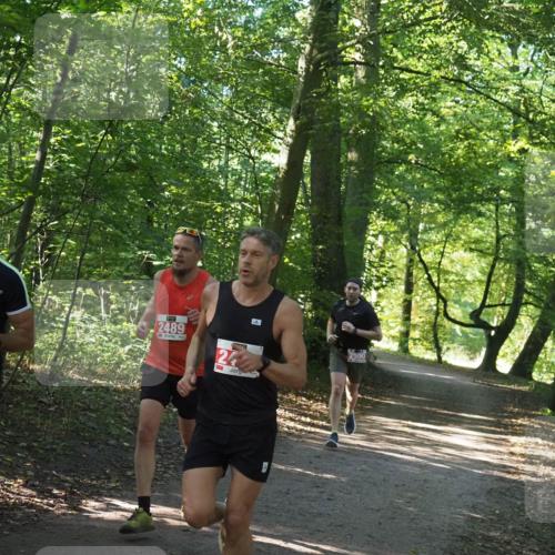 22.09.2024 - 32. Volkslauf durch das schöne Alstertal Miley Keyser http://msf.ph/oto/7136479 22.09.2024 10:39:19 Laufen 2489, 240, 2500, 530 meine-sportfotos.de