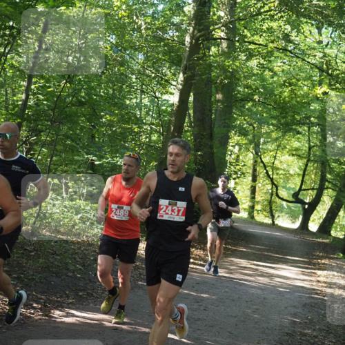 22.09.2024 - 32. Volkslauf durch das schöne Alstertal Miley Keyser http://msf.ph/oto/7136481 22.09.2024 10:39:19 Laufen 83, 2489, 2437, 2500 meine-sportfotos.de