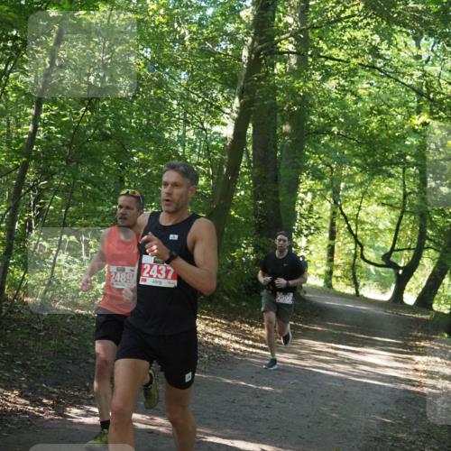 22.09.2024 - 32. Volkslauf durch das schöne Alstertal Miley Keyser http://msf.ph/oto/7136482 22.09.2024 10:39:19 Laufen 30, 2489, 2437 meine-sportfotos.de