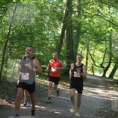 22.09.2024 - 32. Volkslauf durch das schöne Alstertal Miley Keyser http://msf.ph/oto/7136484 22.09.2024 10:39:19 Laufen 2483, 489, 2437 meine-sportfotos.de