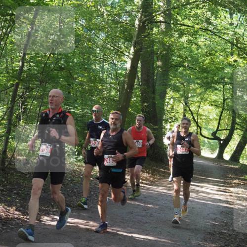 22.09.2024 - 32. Volkslauf durch das schöne Alstertal Miley Keyser http://msf.ph/oto/7136485 22.09.2024 10:39:18 Laufen 408, 2530, 2483, 489, 2437 meine-sportfotos.de