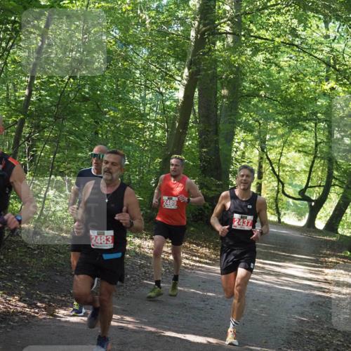 22.09.2024 - 32. Volkslauf durch das schöne Alstertal Miley Keyser http://msf.ph/oto/7136486 22.09.2024 10:39:19 Laufen 2108, 2483, 2489, 2437 meine-sportfotos.de