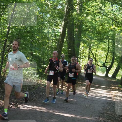 22.09.2024 - 32. Volkslauf durch das schöne Alstertal Miley Keyser http://msf.ph/oto/7136490 22.09.2024 10:39:17 Laufen 2478, 2103, 2483, 2437 meine-sportfotos.de