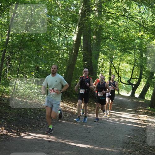 22.09.2024 - 32. Volkslauf durch das schöne Alstertal Miley Keyser http://msf.ph/oto/7136492 22.09.2024 10:39:17 Laufen 2103, 2478, 2483 meine-sportfotos.de