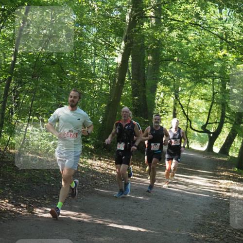 22.09.2024 - 32. Volkslauf durch das schöne Alstertal Miley Keyser http://msf.ph/oto/7136493 22.09.2024 10:39:17 Laufen 2478, 2437, 2108, 2483 meine-sportfotos.de