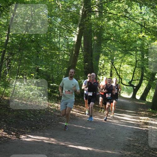 22.09.2024 - 32. Volkslauf durch das schöne Alstertal Miley Keyser http://msf.ph/oto/7136495 22.09.2024 10:39:16 Laufen 2478, 2483 meine-sportfotos.de