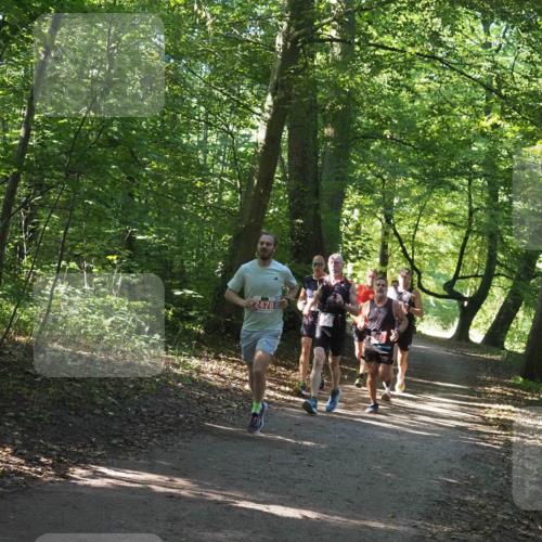 22.09.2024 - 32. Volkslauf durch das schöne Alstertal Miley Keyser http://msf.ph/oto/7136497 22.09.2024 10:39:16 Laufen 2478, 708 meine-sportfotos.de