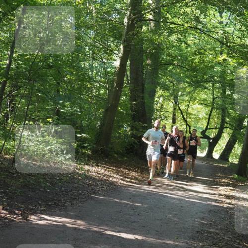 22.09.2024 - 32. Volkslauf durch das schöne Alstertal Miley Keyser http://msf.ph/oto/7136499 22.09.2024 10:39:15 Laufen 2483, 2437 meine-sportfotos.de