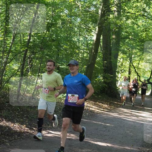 22.09.2024 - 32. Volkslauf durch das schöne Alstertal Miley Keyser http://msf.ph/oto/7136501 22.09.2024 10:39:14 Laufen 514, 2508 meine-sportfotos.de
