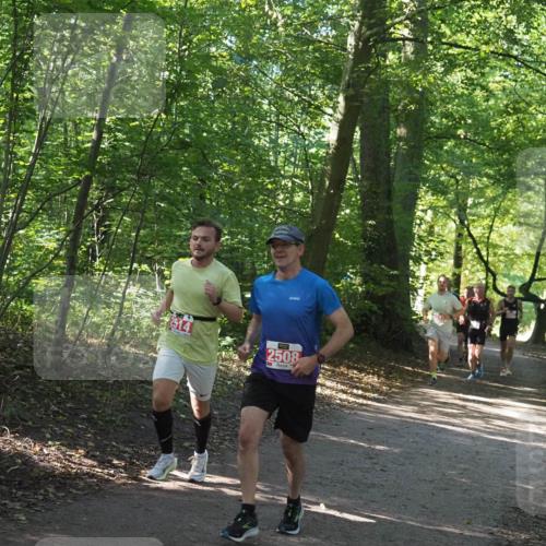 22.09.2024 - 32. Volkslauf durch das schöne Alstertal Miley Keyser http://msf.ph/oto/7136502 22.09.2024 10:39:13 Laufen 2514, 2508 meine-sportfotos.de