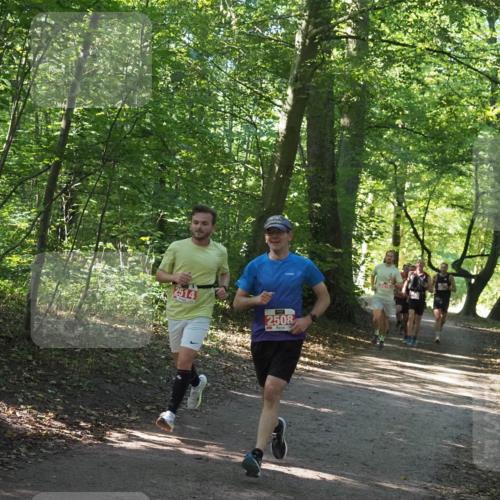 22.09.2024 - 32. Volkslauf durch das schöne Alstertal Miley Keyser http://msf.ph/oto/7136503 22.09.2024 10:39:13 Laufen 2514, 2508, 2478 meine-sportfotos.de