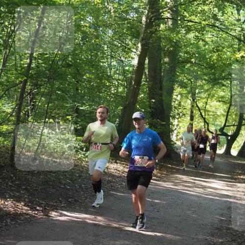 22.09.2024 - 32. Volkslauf durch das schöne Alstertal Miley Keyser http://msf.ph/oto/7136505 22.09.2024 10:39:13 Laufen 2514, 2508 meine-sportfotos.de