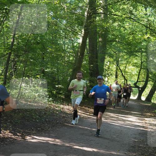 22.09.2024 - 32. Volkslauf durch das schöne Alstertal Miley Keyser http://msf.ph/oto/7136506 22.09.2024 10:39:12 Laufen 400, 2514, 2508 meine-sportfotos.de