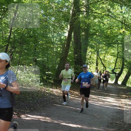 22.09.2024 - 32. Volkslauf durch das schöne Alstertal Miley Keyser http://msf.ph/oto/7136507 22.09.2024 10:39:12 Laufen 2514, 2508, 2471 meine-sportfotos.de