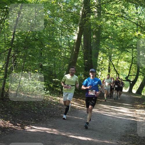 22.09.2024 - 32. Volkslauf durch das schöne Alstertal Miley Keyser http://msf.ph/oto/7136508 22.09.2024 10:39:13 Laufen 2508 meine-sportfotos.de