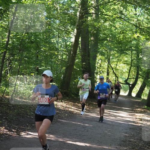 22.09.2024 - 32. Volkslauf durch das schöne Alstertal Miley Keyser http://msf.ph/oto/7136509 22.09.2024 10:39:12 Laufen 2400, 2514, 2508 meine-sportfotos.de