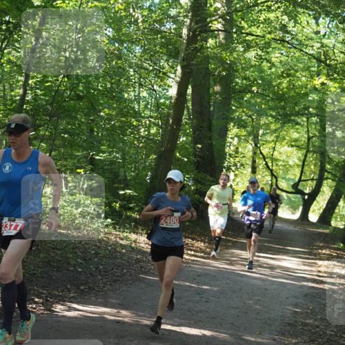 22.09.2024 - 32. Volkslauf durch das schöne Alstertal Miley Keyser http://msf.ph/oto/7136510 22.09.2024 10:39:11 Laufen 2377, 2400 meine-sportfotos.de