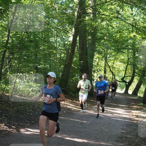22.09.2024 - 32. Volkslauf durch das schöne Alstertal Miley Keyser http://msf.ph/oto/7136511 22.09.2024 10:39:12 Laufen 240 meine-sportfotos.de