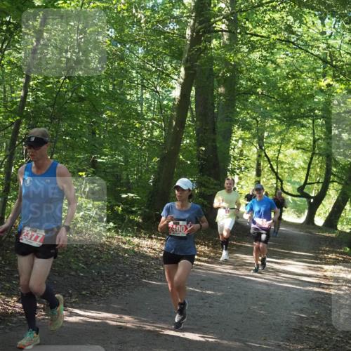 22.09.2024 - 32. Volkslauf durch das schöne Alstertal Miley Keyser http://msf.ph/oto/7136512 22.09.2024 10:39:11 Laufen 2377, 400 meine-sportfotos.de