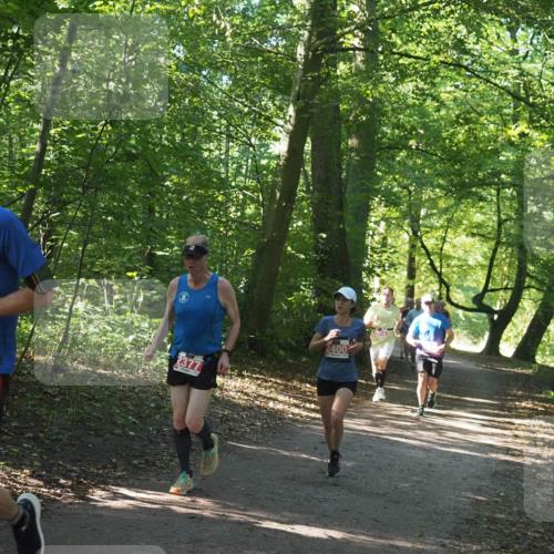 22.09.2024 - 32. Volkslauf durch das schöne Alstertal Miley Keyser http://msf.ph/oto/7136513 22.09.2024 10:39:10 Laufen 2377, 2400 meine-sportfotos.de