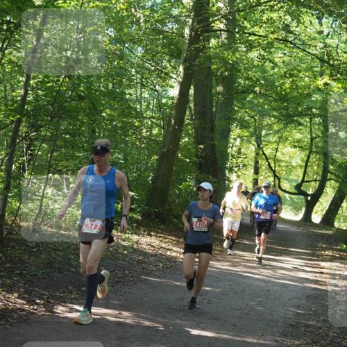 22.09.2024 - 32. Volkslauf durch das schöne Alstertal Miley Keyser http://msf.ph/oto/7136514 22.09.2024 10:39:11 Laufen 2377, 2400 meine-sportfotos.de
