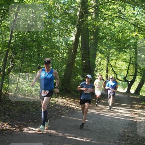 22.09.2024 - 32. Volkslauf durch das schöne Alstertal Miley Keyser http://msf.ph/oto/7136515 22.09.2024 10:39:11 Laufen 2377, 2400 meine-sportfotos.de