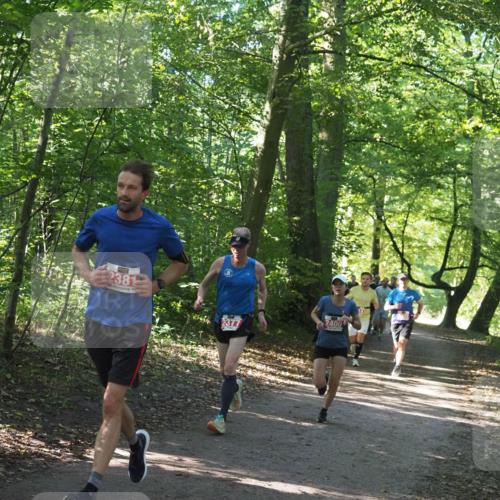22.09.2024 - 32. Volkslauf durch das schöne Alstertal Miley Keyser http://msf.ph/oto/7136517 22.09.2024 10:39:10 Laufen 2381, 377, 2400 meine-sportfotos.de
