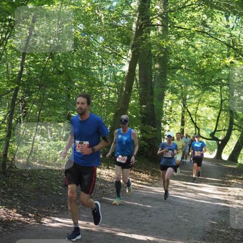 22.09.2024 - 32. Volkslauf durch das schöne Alstertal Miley Keyser http://msf.ph/oto/7136518 22.09.2024 10:39:10 Laufen 2377, 2400 meine-sportfotos.de