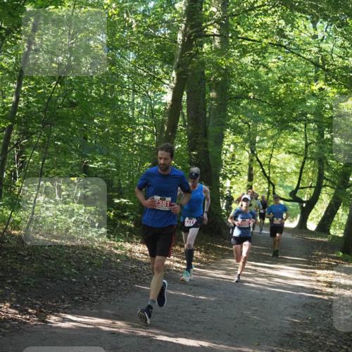 22.09.2024 - 32. Volkslauf durch das schöne Alstertal Miley Keyser http://msf.ph/oto/7136519 22.09.2024 10:39:09 Laufen 2381 meine-sportfotos.de