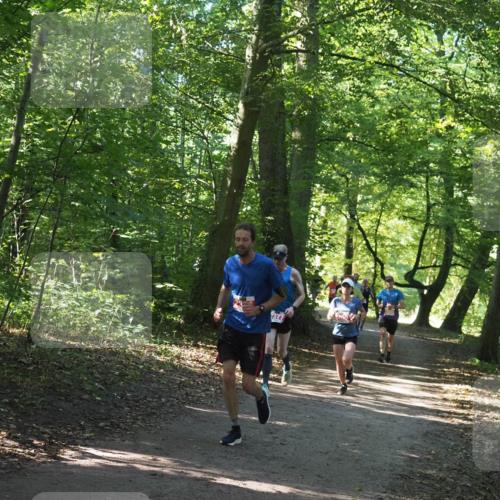 22.09.2024 - 32. Volkslauf durch das schöne Alstertal Miley Keyser http://msf.ph/oto/7136520 22.09.2024 10:39:09 Laufen  meine-sportfotos.de