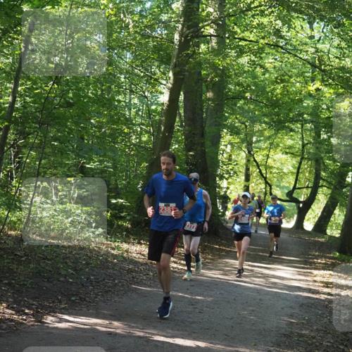 22.09.2024 - 32. Volkslauf durch das schöne Alstertal Miley Keyser http://msf.ph/oto/7136521 22.09.2024 10:39:09 Laufen 2381, 2400 meine-sportfotos.de